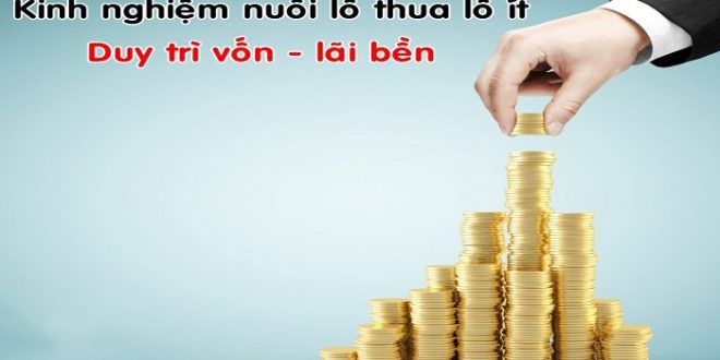 Kinh nghiệm chia tiền nuôi lô hiệu quả có lãi