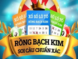 FABET – Rồng Bạch Kim là gì? Những tính năng của Rồng Bạch Kim 247